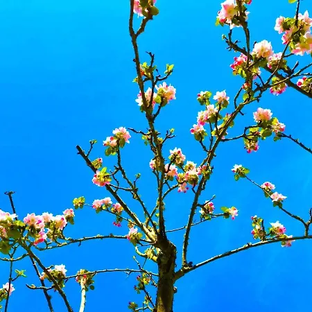 Tranquillite Апартаменты Эльбёф