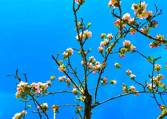 Tranquillite Апартаменты Эльбёф