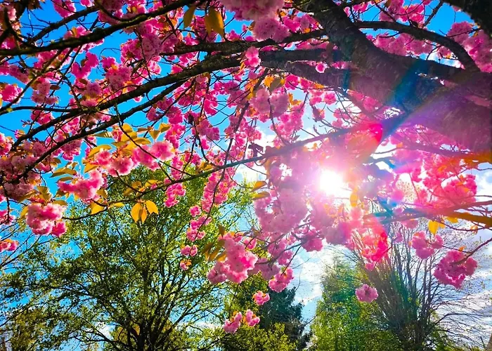 Tranquillite * Эльбёф